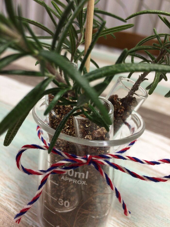 ②ビーカーへセットします