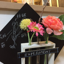 理科室をイメージして。ダイソー試験管の一輪挿し