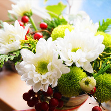 あまりものお花もかわいく!2017*我が家のお正月花*トイレ編