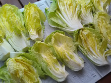 干し野菜に挑戦!白菜を天日干しして長持ち♪栄養価アップ♪そして味は?試してみました。