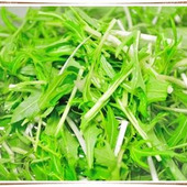 冬のお鍋には欠かせない!水菜のパワーって?