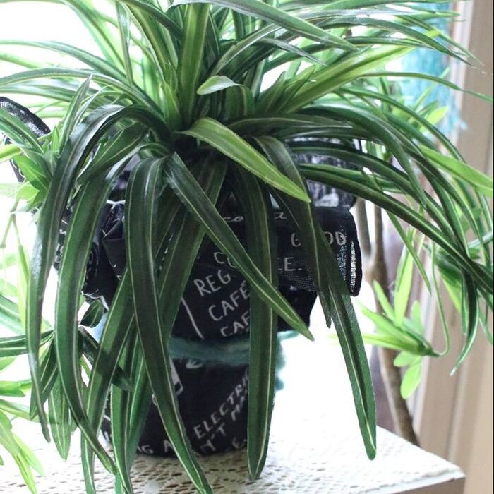 簡単!巻くだけ!100均手ぬぐいで男前な鉢カバー