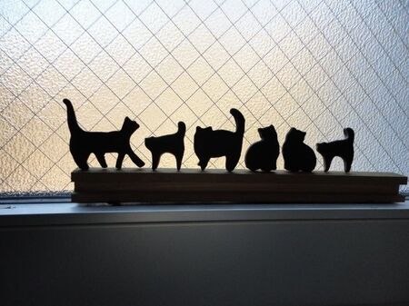 影絵のネコアートが完成