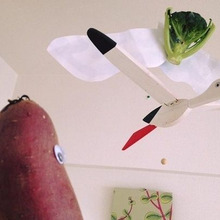 思いっきり羽伸ばしておいで、とは言ったけどさ、、、