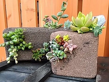 セリアの100均素材で簡単可愛い♪♡多肉植物の寄せ植えINライトレンガ