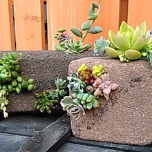 セリアの100均素材で簡単可愛い♪♡多肉植物の寄せ植えINライトレンガ