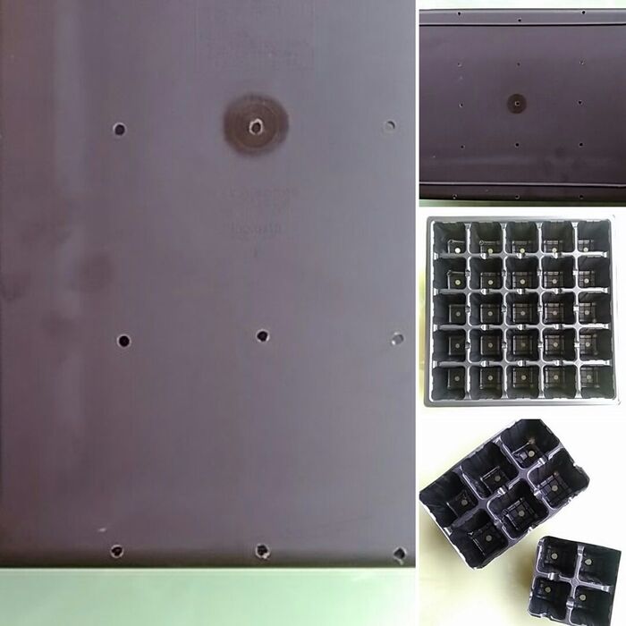 セルボックスをケースの形に合わせてカットしてケースにセットします。