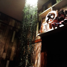 【ダイソー&セリア】フェイクグリーンとブリキ缶でグリーンライト作り❤