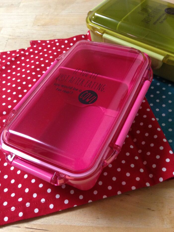 蓋のドーム型がポイントのお弁当箱