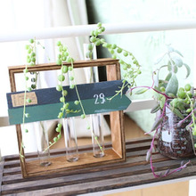 人気の理系インテリア!ダイソー試験管でオシャレに飾るグリーン