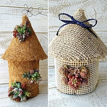 多肉植物の寄せ植えIN100均の鉢底ネットで作れるお家型の鉢\(^o^)/