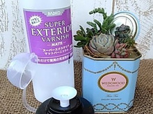 簡単♪ガス抜きで楽々底穴開け☆多肉植物の寄せ植えINお気に入りの缶♪♡