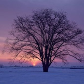 【2月の肌占い】お肌のタイプと血液型から占います!