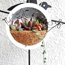 ダイソーの100均ブリキケースで作る♪多肉植物の簡単まんまるハンギング♡