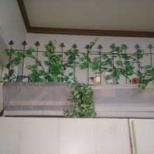 洗剤や掃除道具をセリアの植木鉢で隠しながら収納