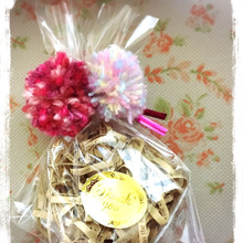 リーズナブルなポンポンギフト