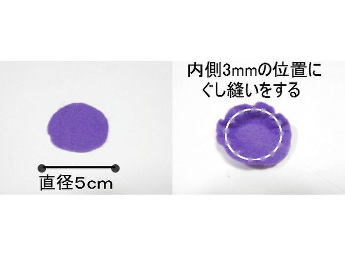 ブルーベリーの作り方