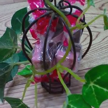 セリアのアイアン鳥かごdeラッピング