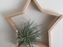 ねじも工具も不要!!アイスの棒でウォールシェルフ