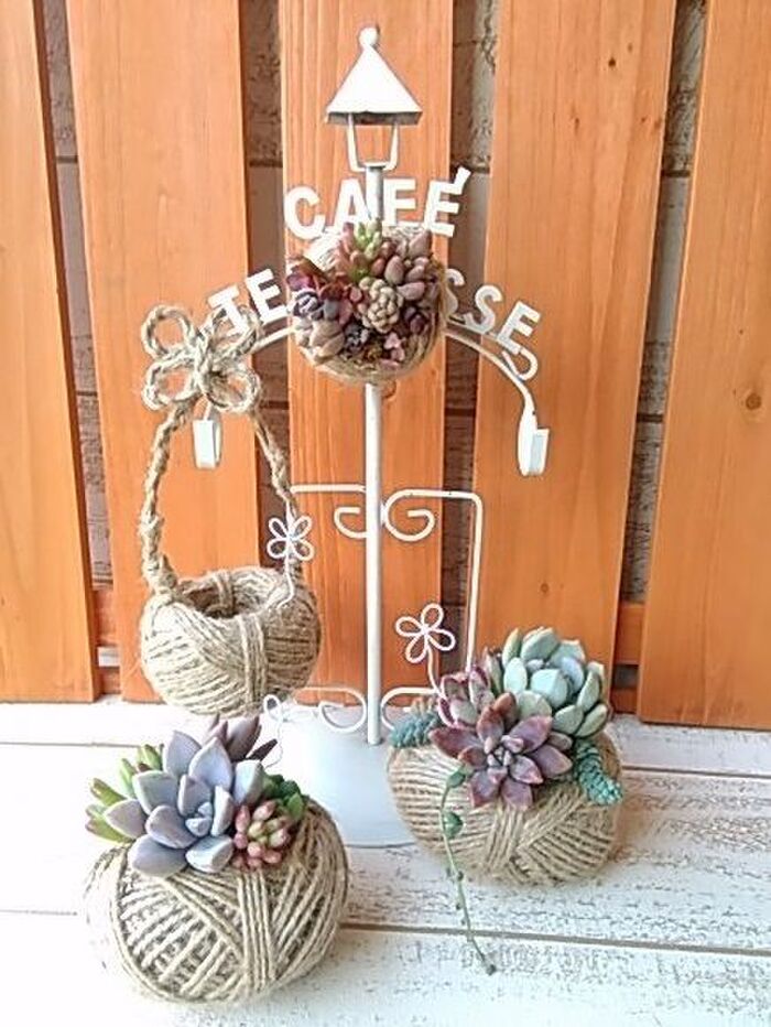 麻ひもを鉢にリメイク☆多肉植物を寄せ植え!