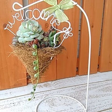 100均鉢底ネットとココマットでハンギング!多肉植物の寄せ植えに!