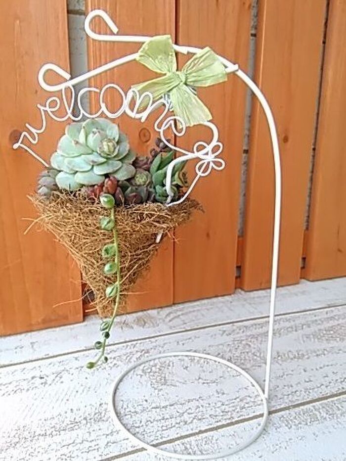 100均鉢底ネットとココマットでハンギング!多肉植物の寄せ植えに!