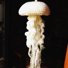 フワフワクラゲ?