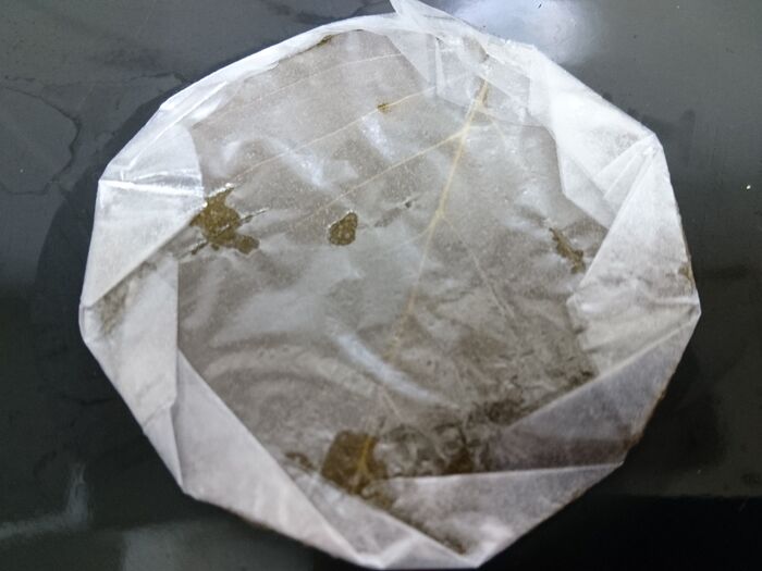 桜葉まる その1