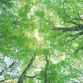 【3月の肌占い】お肌のタイプと血液型から占います!