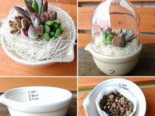 小さな穴なし容器もコレで素敵な鉢に(*^_^*)