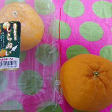 しらぬい人は、絶対知らない。でもおいひーヾ(๑╹◡╹)ノ