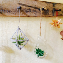 100均毛糸でヒンメリ風テラリウムオブジェ