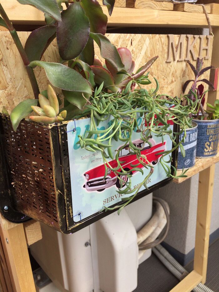 水切れ抜群!多肉植物用リメカゴ