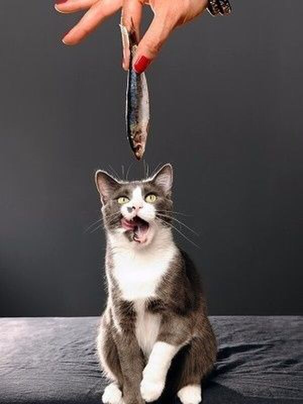 ◆ご飯が出てくるかも?!と期待している