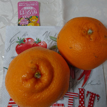 はるみ ちゃん どこ行ってたの~