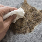 ソースのシミ抜きにはこれ!服についたソースの染み抜き/洗濯方法とは?