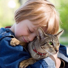 猫と子供の相性は本当に悪いの?猫と乳幼児が上手に付き合う3つのコツ