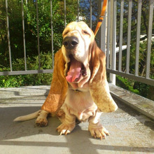 めんどくさいを飲み込む・・・