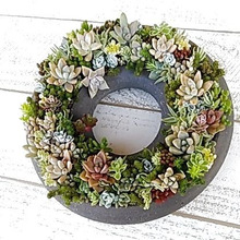 ハンドメイドのすすめ♡多肉植物用の手作り鉢コレクション