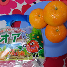 イスラエル生まれのレアなオレンジ