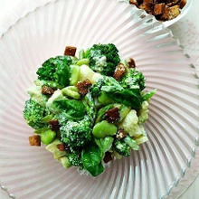 パルミジャーノ香るパン耳クルトンとお野菜たっぷりグリーンサラダ