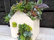 多肉植物の寄せ植えINダイソーの100均木製ハウスのリメイク鉢(^^♪簡単&工具不要♡