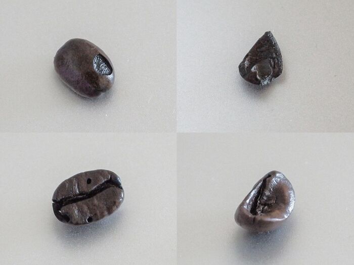 「欠点豆」の除去