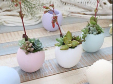 セリア*エッグ型コンテナで多肉植物のアレンジ