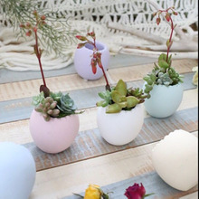 セリア*エッグ型コンテナで多肉植物のアレンジ