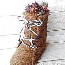 多肉植物の寄せ植えINココマットとセリアの100均鉢底ネットで作る靴の鉢(^^♪