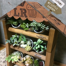 100均リメイク♪フェイク多肉ハウス