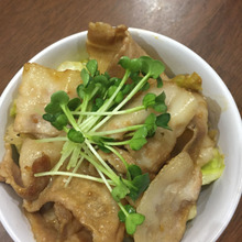 ささっと夕食に♪お手軽豚丼レシピ