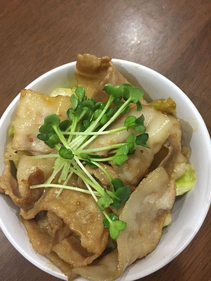 ささっと夕食に♪お手軽豚丼レシピ