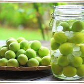 美味しい&体に良い!良いことづくしの梅酒に迫る!